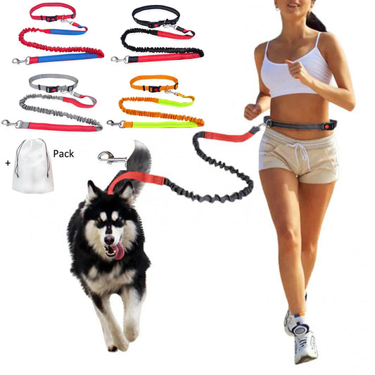 Dog Leash Free Hands Supplies Elastic Nylon Leash