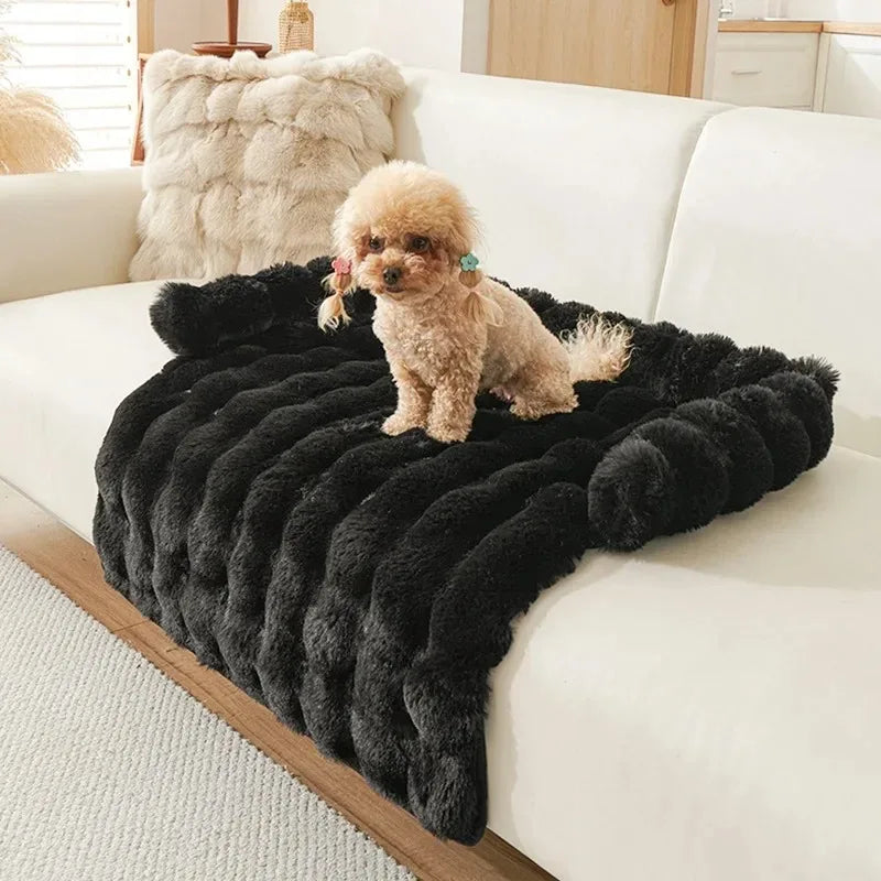 Dog Bed Accessories Pets Dogs Mat Medium Small